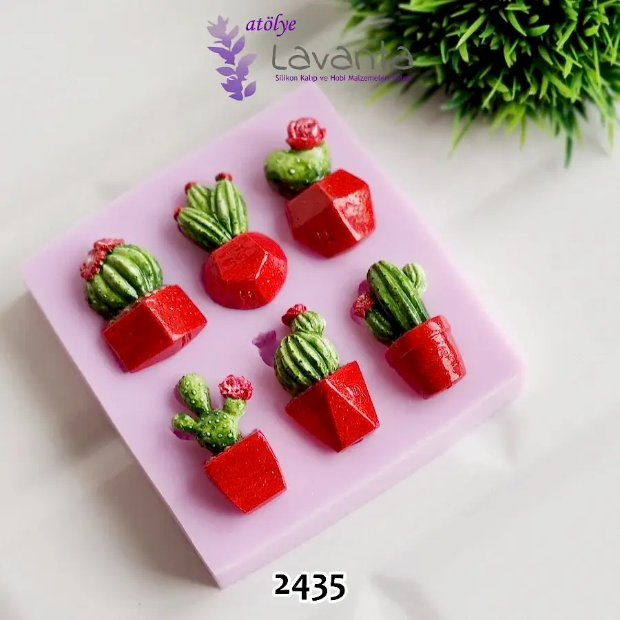 Altılı Saksıda Kaktüsler Silikon Kalıbı