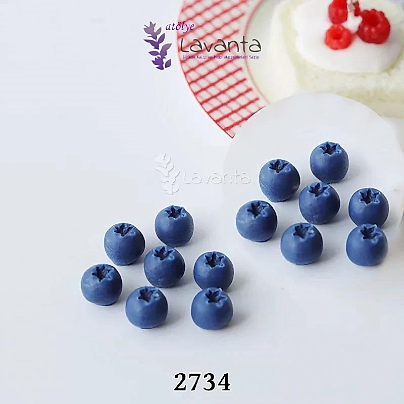 Blueberry Silikon Kalıbı