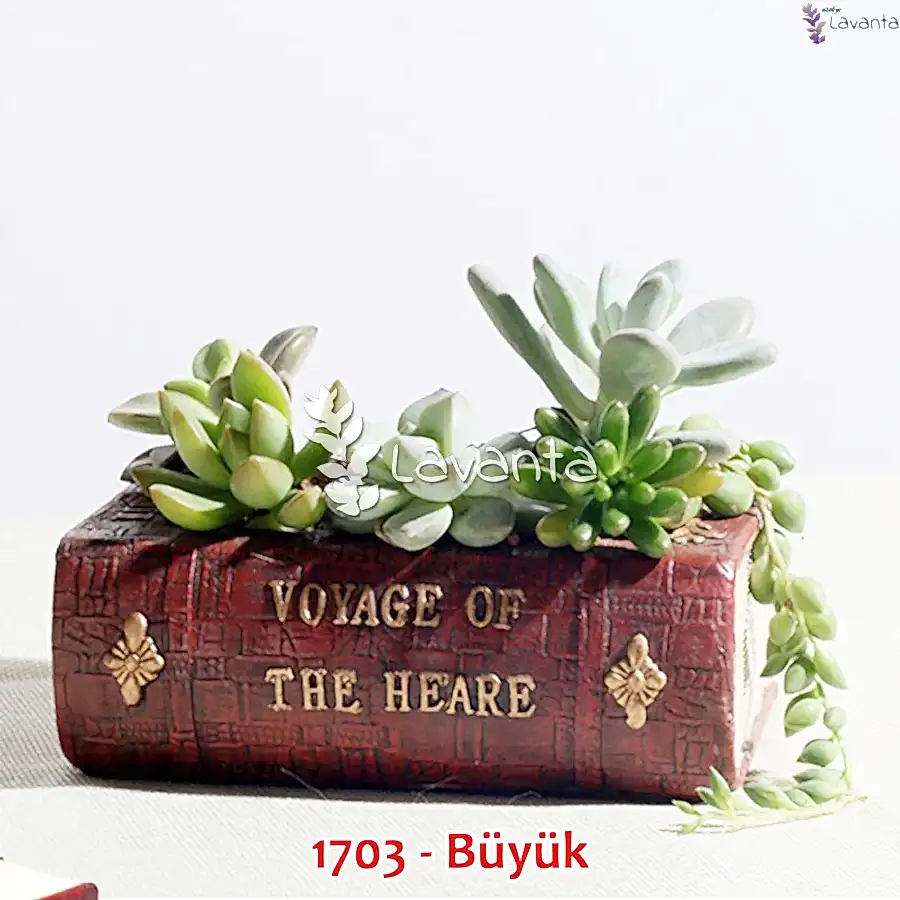 Büyük Kitap Sukulent Saksı Kalıbı