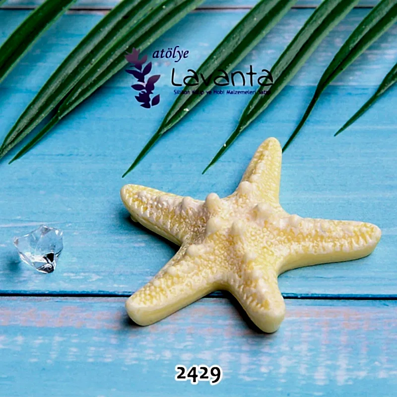 Deniz Yıldızı Kalıbı