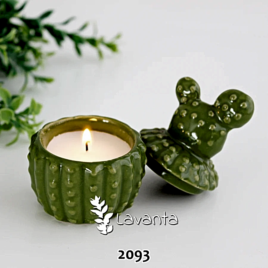 Kaktüs Mumluk ve Kutu Kalıbı