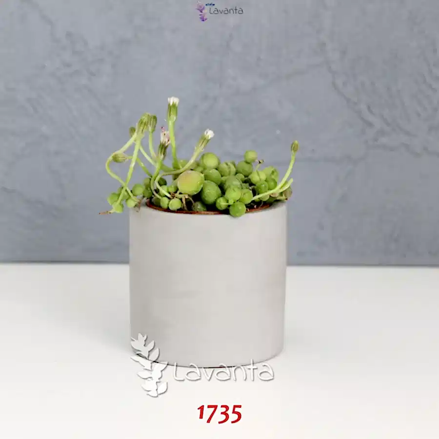 Küçük Boy Silindir Saksı Silikon Kalıbı