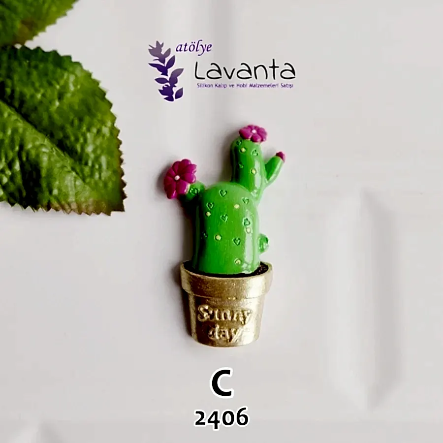 Magnetlik Saksıda Kaktüs Kalıbı