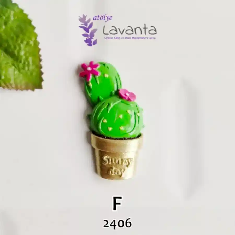 Magnetlik Saksıda Kaktüs Kalıbı