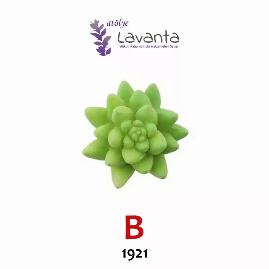 Mini Sukulent Silikon Kalıpları