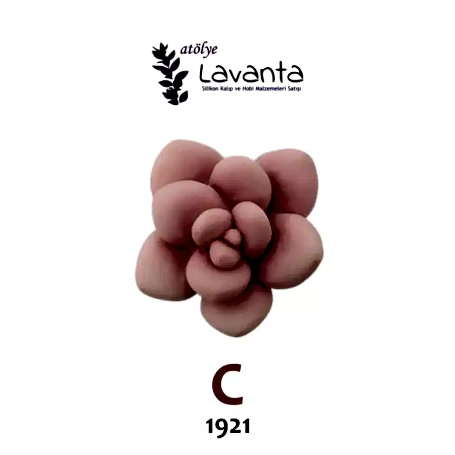 Mini Sukulent Silikon Kalıpları