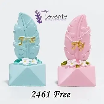 Minyatür Saksıda Free Kaktüs Kalıbı