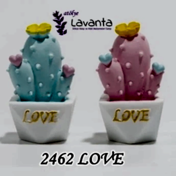 Minyatür Saksıda Love Kaktüs Kalıbı