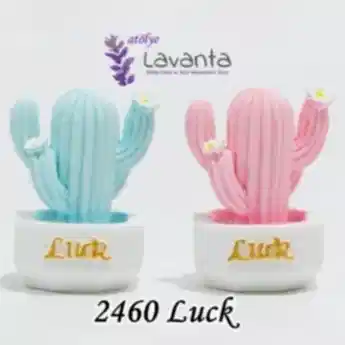 Minyatür Saksıda Luck Kaktüs Kalıbı