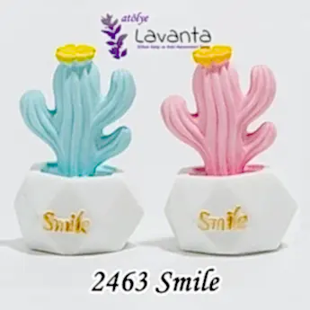 Minyatür Saksıda Smile Kaktüs Kalıbı