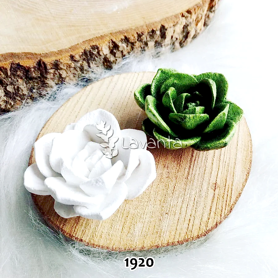 Sukulent Silikon Kalıbı