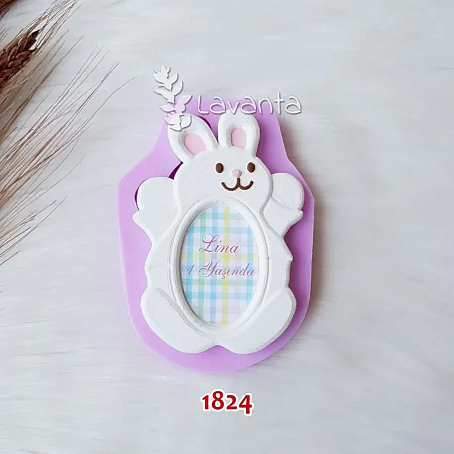 Tavşanlı Oval Çerçeve Silikon Kalıbı