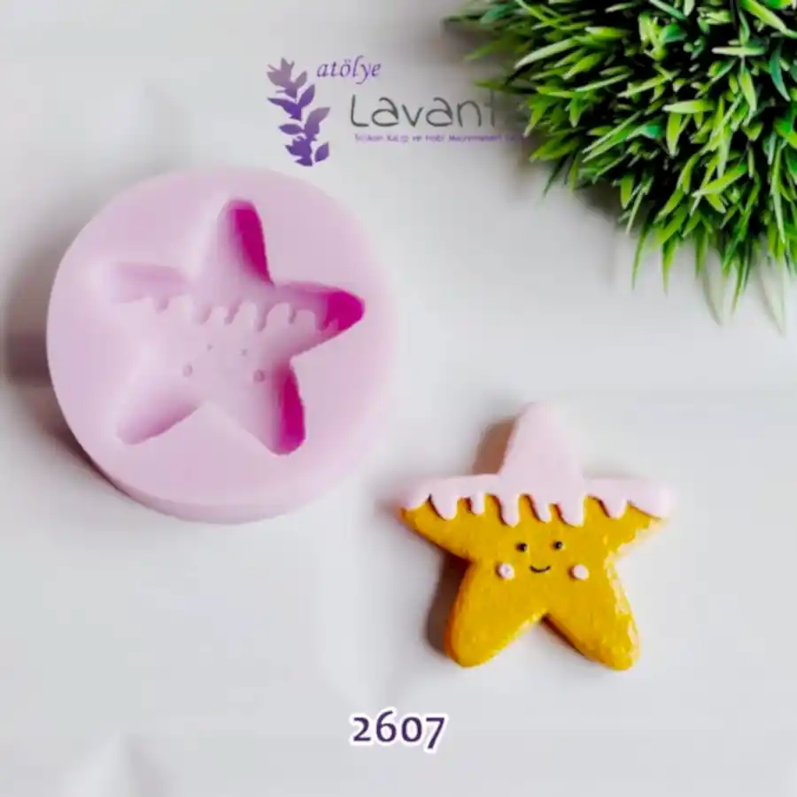 Yıldız Kurabiye Silikon Kalıbı